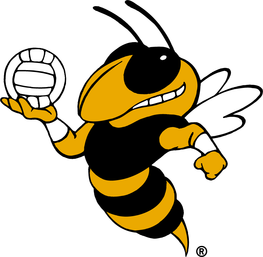 Georgia Tech Yellow Jackets 1999-2015 Mascot Logo v2 diy iron on heat transfer